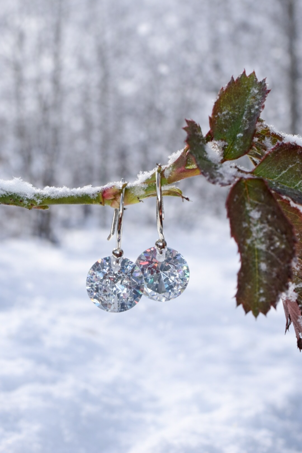 Icy Drop Earrings