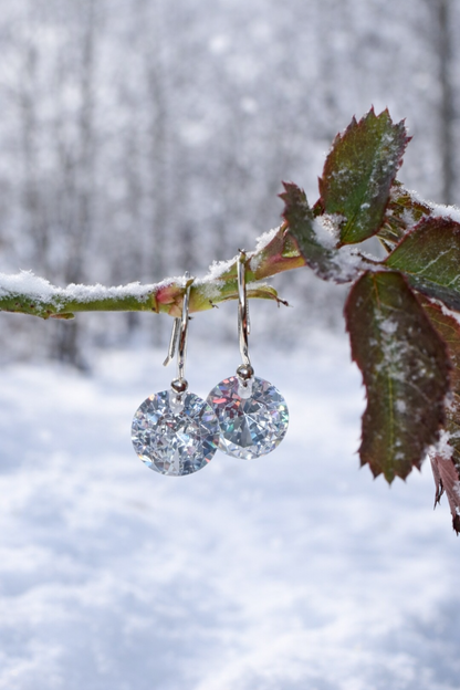 Icy Drop Earrings