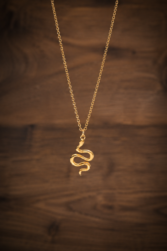 Dainty Snake Necklace