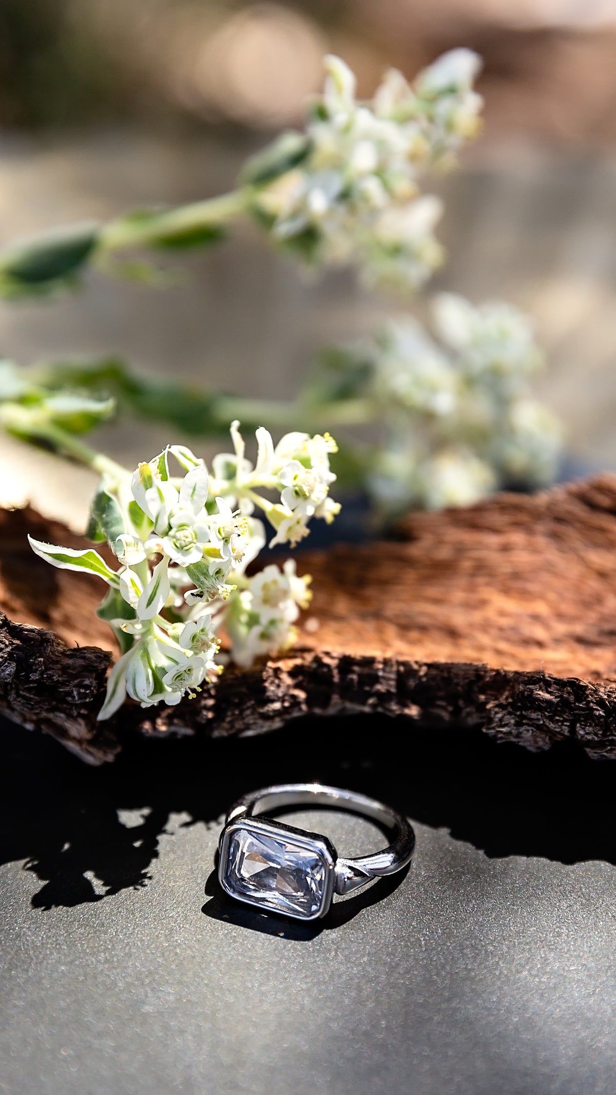 Daydream Ring from the LUNA Collection by VEITA Jewelry in 18kt white gold plating, styled outdoors on stone with greenery.