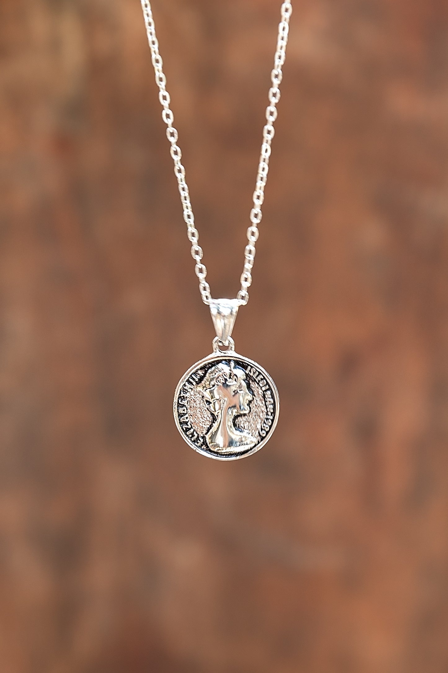 Silver necklace with a round pendant on a blurred brown background