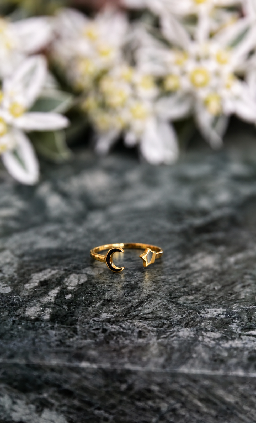 Moon & Star Micro Ring