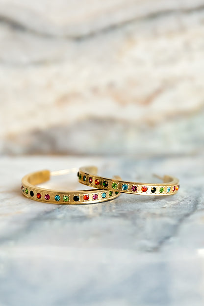 Darcy Hoop Earrings